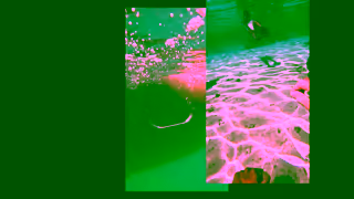 Hamilton Watch Add a splash of sunshine to your summer look with the new Khaki Navy Scuba 40mm Hamilton Watch Ad Commercial Brand Imagery Photoshoot 0