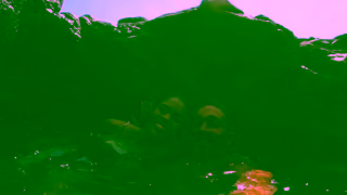 Bumble Date Now on Bumble Ad Commercial Brand Imagery Photoshoot 2