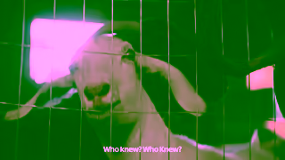 Walmart The Walmart you thought you knew is nownew Ad Commercial Brand Imagery Photoshoot 2