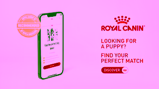 Royal Canin Looking to Adopt a Puppy Ad Commercial Brand Imagery Photoshoot 2