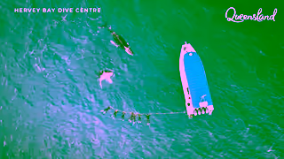 Queensland.com That Holiday Feeling 6s Whales Ad Commercial Brand Imagery Photoshoot 0