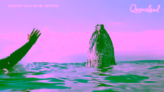 Queensland.com That Holiday Feeling 6s Whales Ad Commercial Brand Imagery Photoshoot 1