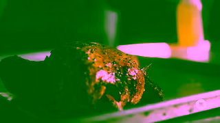 Chase Bank Darien List On Why Beach Hill Smokehouse Partners With Chase 020 Chase Canada Ad Commercial Brand Imagery Photoshoot 0