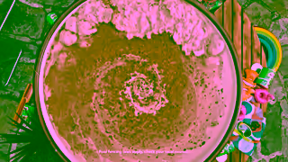 Milo 02 MILO Core Hot Tub 15sec 16x9 v45 Ad Commercial Brand Imagery Photoshoot 1