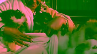 Bedsure Home Bedsure Flannel Fleece Blanket Ad Commercial Brand Imagery Photoshoot 2