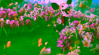 SCHMACKOS SCHMACKOS Spend 20 on SCHMACKOS at Coles and claim a free tin Ad Commercial Brand Imagery Photoshoot 1