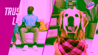 Vanish Vanish Gold Carpet Deep Cleaning Foam Suitable For Homes With Pets Ad Commercial Brand Imagery Photoshoot 2