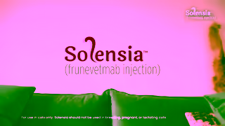 Zoetis SolensiaBack to Normal 15 Media Spot Ad Commercial Brand Imagery Photoshoot 0