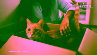 Zoetis SolensiaBack to Normal 15 Media Spot Ad Commercial Brand Imagery Photoshoot 2