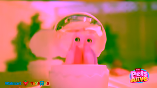ZURU Toys Look Its Mama Turtle Baby Surprise How many babies will hatch Ad Commercial Brand Imagery Photoshoot 0