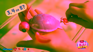 ZURU Toys Look Its Mama Turtle Baby Surprise How many babies will hatch Ad Commercial Brand Imagery Photoshoot 1