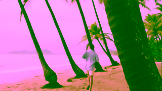 MJ Bale Tropical State of Mind Ad Commercial Brand Imagery Photoshoot 1