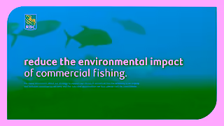 RBC Royal Bank RBC is helping our client Katchi reduce the environmental impact of commercial fishing Ad Commercial Brand Imagery Photoshoot 1