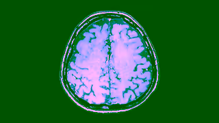 Vogue VOGUE WORLD TUNEIN 24 DELIVERY h264 ELILILY TFH 061724 Ad Commercial Brand Imagery Photoshoot 1