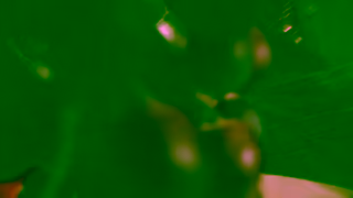 Innocent Drinks innocent super smoothies Ad Commercial Brand Imagery Photoshoot 1