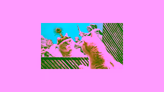 Epidemic Sound H2Campaign24 YT Conversion Online Licensing 16x9 English 17s V5 Ad Commercial Brand Imagery Photoshoot 0