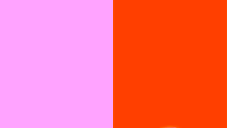 Pizza Pizza BIPARTISAN WINGS Ad Commercial Brand Imagery Photoshoot 1