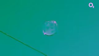 O2 Roam Free Breathe Free Ad Commercial Brand Imagery Photoshoot 2