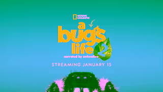 National Geographic A Real Bugs Life Streaming Jan 15 V1 National Geographic Ad Commercial Brand Imagery Photoshoot 2