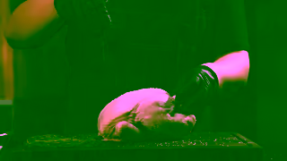 Typhur 16 9 Ad Commercial Brand Imagery Photoshoot 0