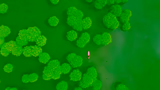 Visit Kerala The Great Backwaters  Kerala  Worlds Greatest Place Ad Commercial Brand Imagery Photoshoot 2