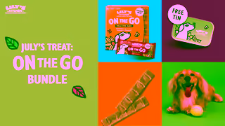 Lily's Kitchen Treat of the Month On the Go Dog Bundle Ad Commercial Brand Imagery Photoshoot 0