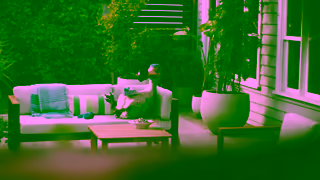 Dodo Dodo internet save up to 30mth September Ad Commercial Brand Imagery Photoshoot 0