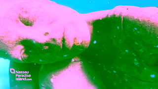 Nassau & Paradise Island Tourism NPI COUPLES 2025 BRAND SPOT 15 16x9 2025 07 15 Evergreen Updates Ad Commercial Brand Imagery Photoshoot 0