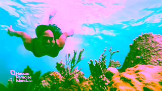 Nassau & Paradise Island Tourism NPI COUPLES 2025 BRAND SPOT 15 16x9 2025 07 15 Evergreen Updates Ad Commercial Brand Imagery Photoshoot 2