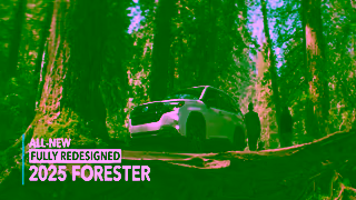 Subaru 2025 Subaru Forester Trust the Real Search Engine Commercial Ad Commercial Brand Imagery Photoshoot 2