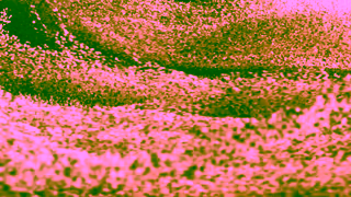 Sonos Meet Arc Ultra Ad Commercial Brand Imagery Photoshoot 1