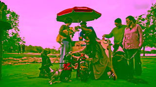 PetSmart PetSmart TheHonestKitchen Video1 30s Ad Commercial Brand Imagery Photoshoot 2