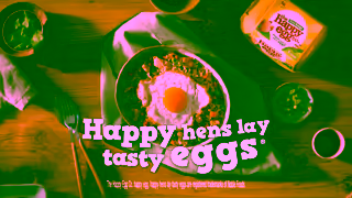 The Happy Egg Company Happy hens lay tasty eggs Ad Commercial Brand Imagery Photoshoot 2