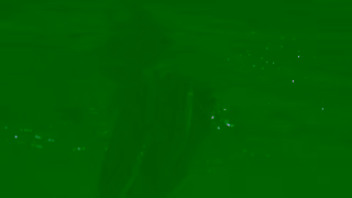 Giorgio Armani Emporio Armani 2025 SpringSummer Sea Explorer Watch Ad Commercial Brand Imagery Photoshoot 0