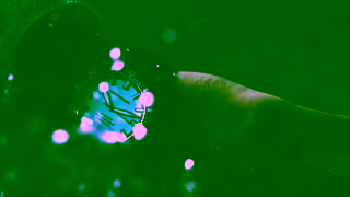 Giorgio Armani Emporio Armani 2025 SpringSummer Sea Explorer Watch Ad Commercial Brand Imagery Photoshoot 2