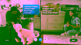 Blue Buffalo VID YouTube 15s NTH H2HNutrish EN NIN LFDD SAS NP NL BBC0351 LM na Ad Commercial Brand Imagery Photoshoot 2