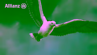 Allianz Care you can count on Ad Commercial Brand Imagery Photoshoot 1