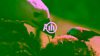 Allianz Care you can count on Ad Commercial Brand Imagery Photoshoot 2