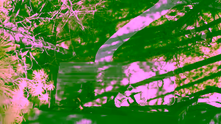 Vrbo US Big Bear Host Non Greeting 30s Ad Commercial Brand Imagery Photoshoot 1