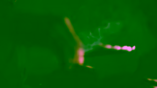 TD Canada Follow our journey to Reconciliation Ad Commercial Brand Imagery Photoshoot 0