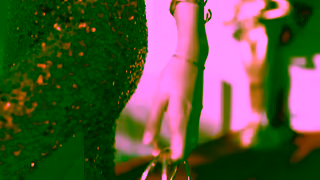 HelloMolly Hello Molly Prom A Night To Remember Ad Commercial Brand Imagery Photoshoot 0