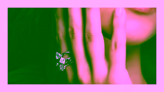 Pandora Diamonds for all Ad Commercial Brand Imagery Photoshoot 2