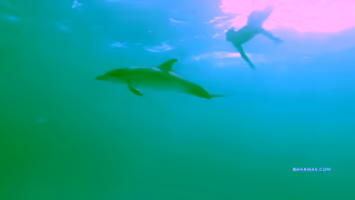 The Bahamas Its Not One Island Its a Lifetime of Them Bimini Ragged Island Grand Bahama Island Ad Commercial Brand Imagery Photoshoot 0