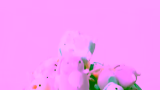 Kmart Low Prices For Life Ad Commercial Brand Imagery Photoshoot 1