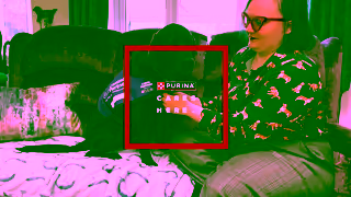 Purina Purina Cares Campaign Ad Commercial Brand Imagery Photoshoot 2