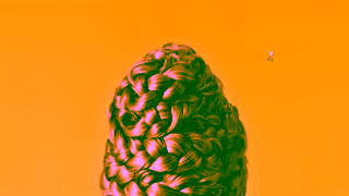 HILLTOP Hilltop For Honey Heads Campaign 2024 Ad Commercial Brand Imagery Photoshoot 0