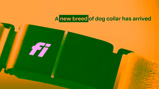 Fi Dogs Fi YouTube HSN Activity 15s 16x9 May 2024 Ad Commercial Brand Imagery Photoshoot 0