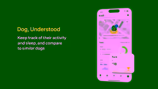 Fi Dogs Fi YouTube HSN Activity 15s 16x9 May 2024 Ad Commercial Brand Imagery Photoshoot 2