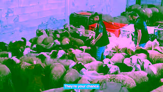 MATW Half the Flock Is Gone The Rest Is a Sacred Trust Ad Commercial Brand Imagery Photoshoot 0