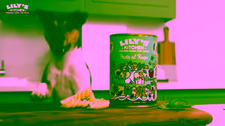 Lily's Kitchen Whats the secret to being the best pet parent Ad Commercial Brand Imagery Photoshoot 2